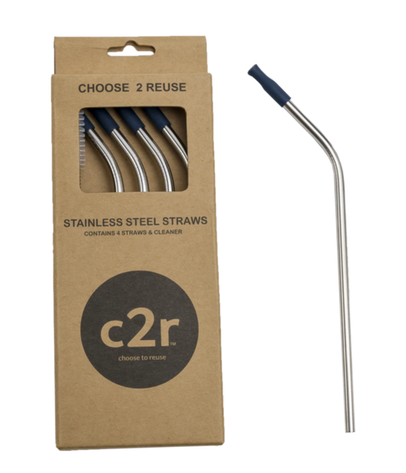 Stainless Steel Straw Packs Navy